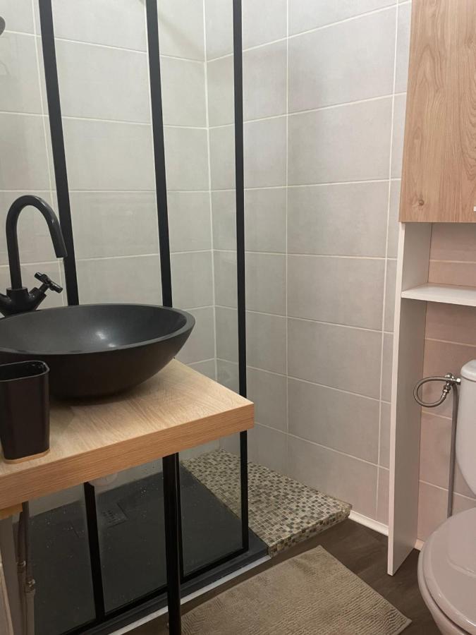 Appartement Cosy En Hyper Centre Toulouse Bagian luar foto